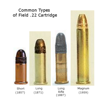 Ammo Types & Calibers 